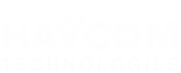 HAVCOM CSV Consulting